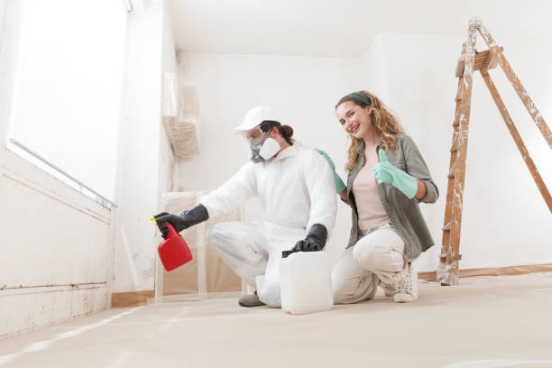 Trusted Fort Meade, MD Mold Inspection, Removal & Remediation Experts